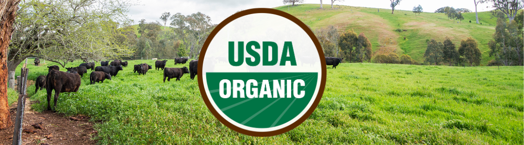 Organic Beef