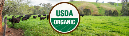 Organic Beef