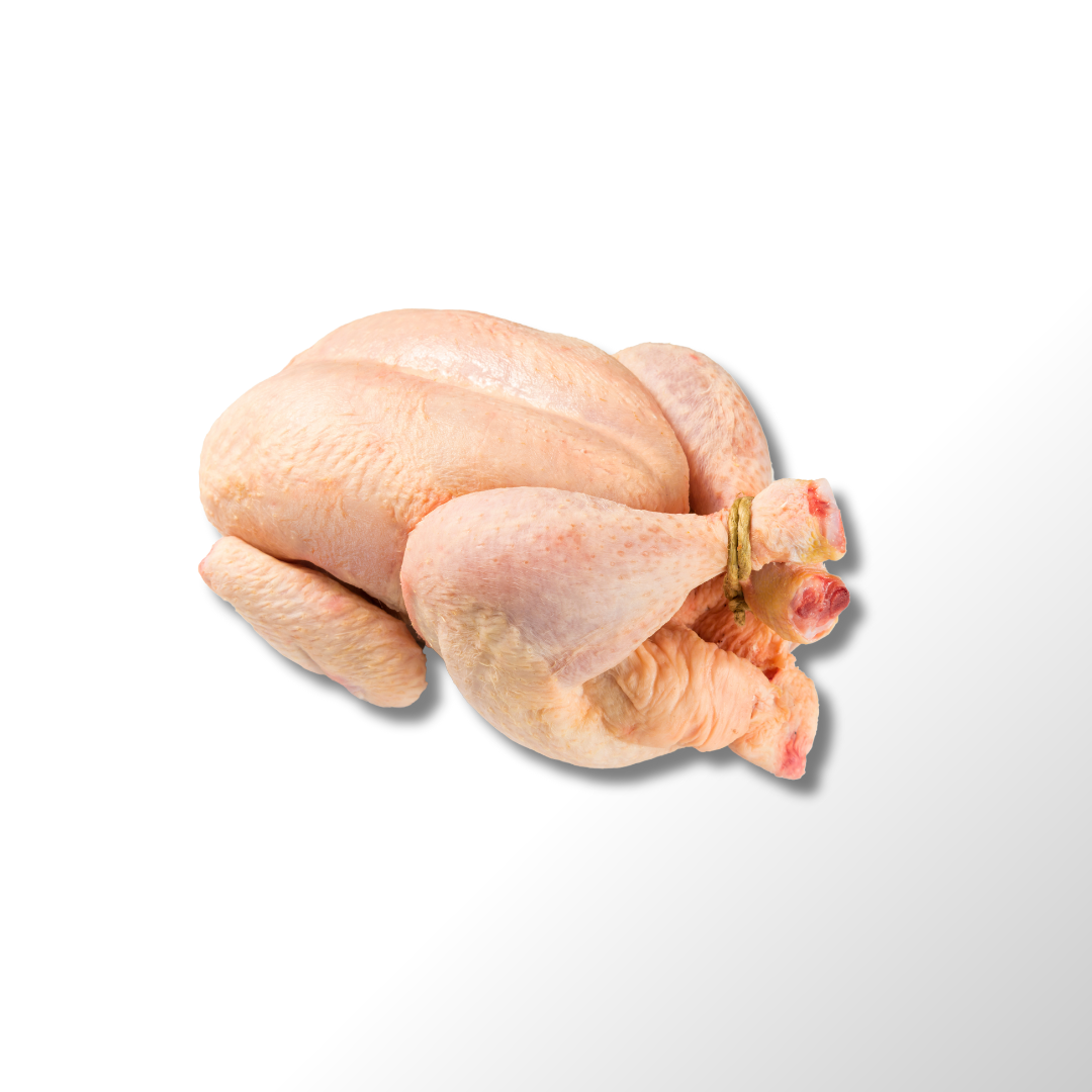 Rock Cornish Hens | David Elliot | By the Case - Premium Kosher Product, Great for Shabbos Dinners for Everyday Cooking