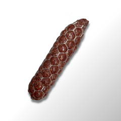 Artisanal Old Fashion Italian Beef Salami | Glatt Kosher | by the Case